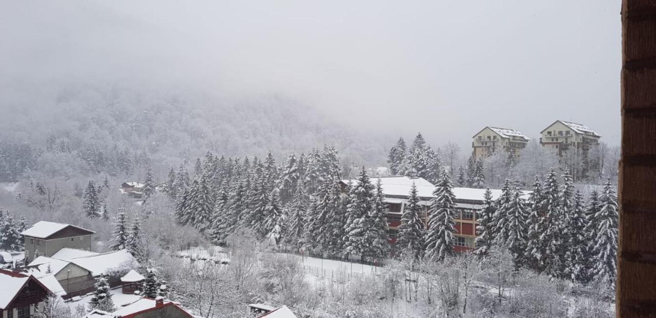 Apartment Elite Sinaia
