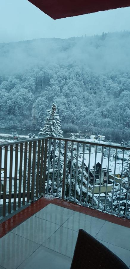 Apartment Elite Sinaia